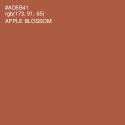 #AD5B41 - Apple Blossom Color Image